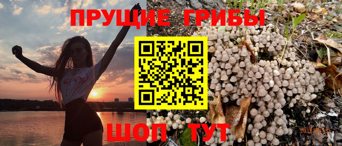 Галлюциногенные грибы прущие грибы Норильск