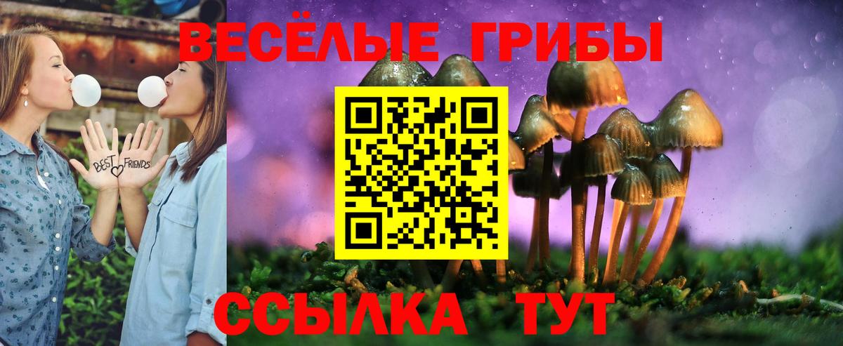 Норильск  Галлюциногенные грибы мицелий  наркотики  Вход с VPN 
